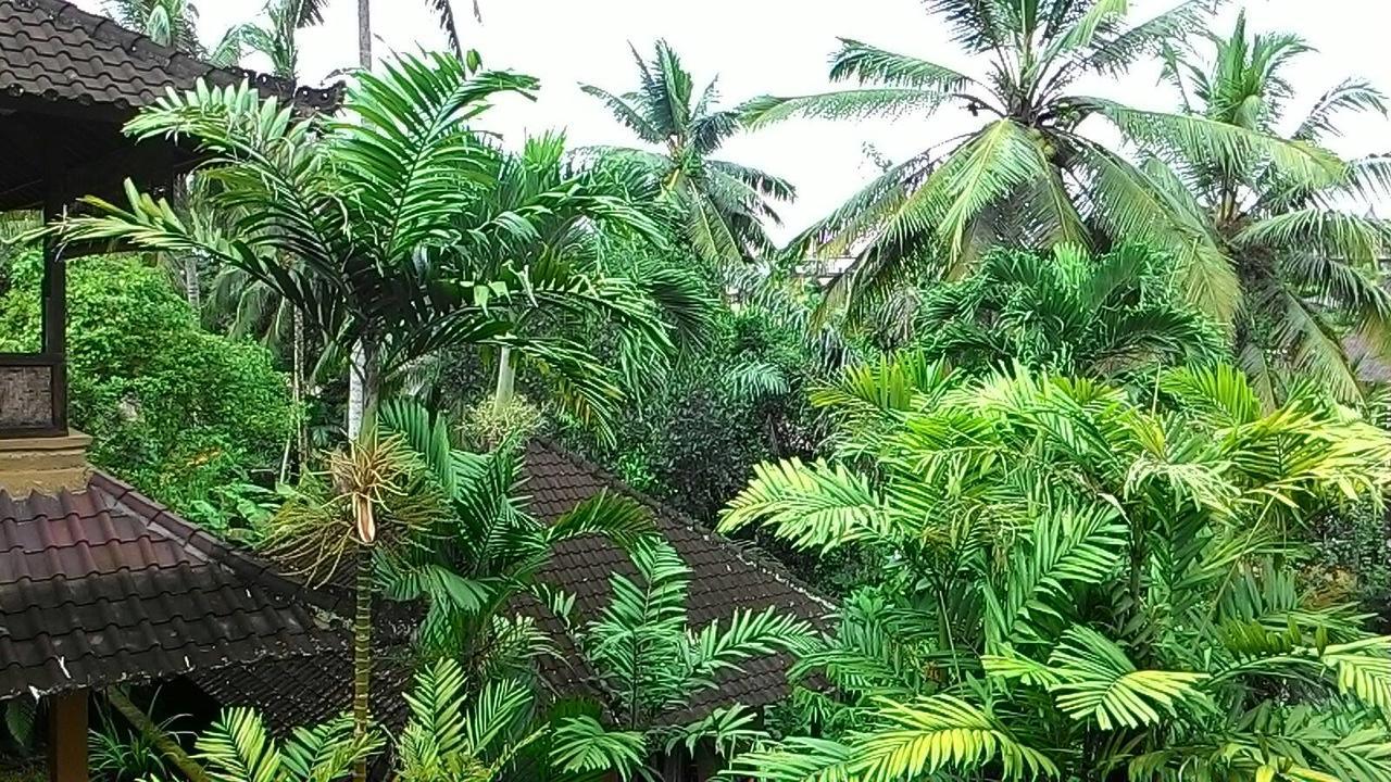 Sari Wangi Cottage Ubud Esterno foto