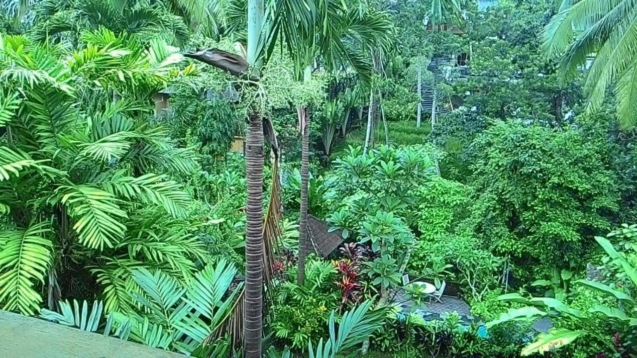 Sari Wangi Cottage Ubud Esterno foto